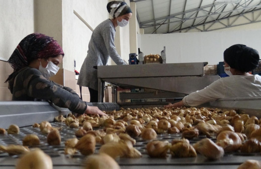 Aydın üretimde dünya birincisi! Fiyatı tavan yaptı: Tanesi 3 TL
