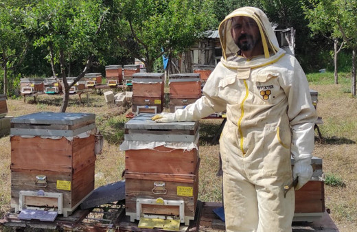 Yozgat'ta hobi olarak başladı! Şimdi kilosunu 300 TL'ye satıyor