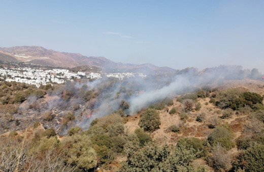 Bodrum'da makilik alanda yangın