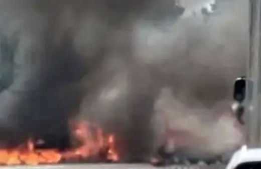 İslam karşıtlığıyla bilinen İsveçli karikatürist Lars Vilks ve iki koruma polisi kazada yanarak öldü