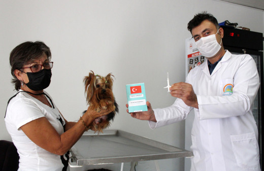 Kedi ve köpeklerin çiplendirilmesi başladı! Artık terk edilemeyecek