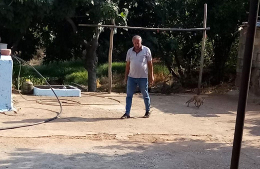 Adıyaman'da ‘kızım’ diye seslendiği tilkiyi besledi o anları kayda aldı