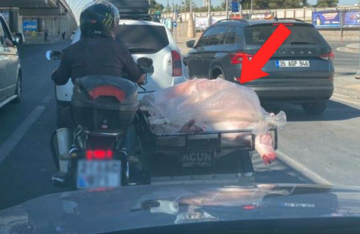 Diyarbakır'da mide bulandıran görüntü tepki çekti! Bu halde kilometrelerce gitti