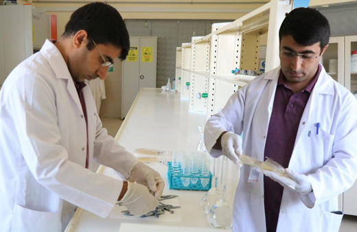 Kırşehir'de balık derisinden üretildi! Antioksidan ve anti kanser özelliği şaşırttı