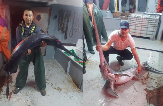 İstanbul Boğazı'nda yakalayınca şaşkına döndü: 60 yıldır bu balığı görmedim