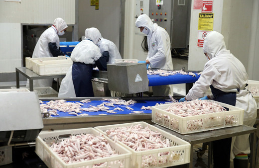 Tavuk ayağı ile Çin'e giren Türk firma ada ülkelerine de açıldı