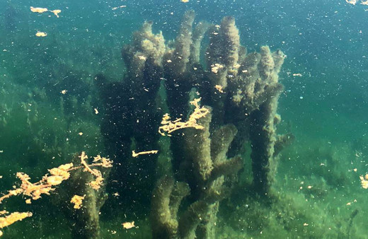 Felaket başladı! Eğirdir, Beyşehir, Büyükçekmece, Uluabat, Burdur, Bafa ve Eber gölleri çürüyor