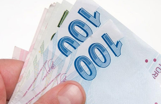Bakan Bekir Pakdemirli: 13 milyon 846 bin 485 TL'lik destek ödemesi hesaplara aktarılmaya başlandı