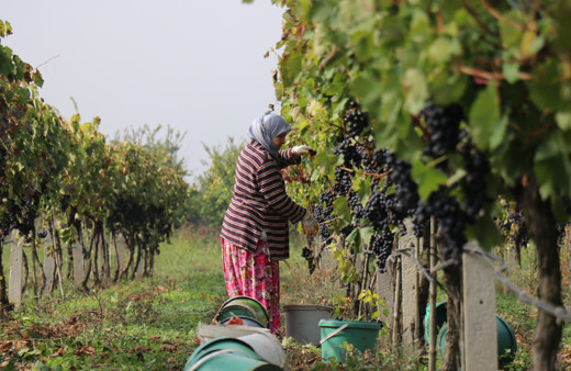 Tarlada 2 TL markette 10 TL! Fiyatlar yüzleri güldürmedi: Rahatlamak istiyoruz.