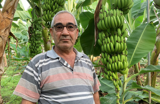 Mersinli üreticilerin sesi duyuldu! Fiyatı 10 TL'ye geriledi