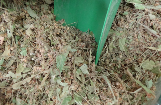 Kış aylarının vazgeçilmezi! Kilosu 400 TL oldu: Fiyatlar hiç düşmeyecek