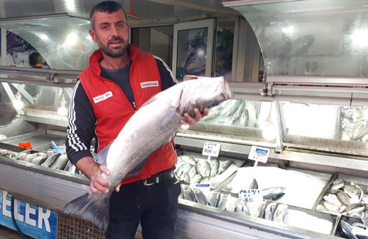 Çanakkale Boğazı'nda 7 kiloluk levrek yakaladı