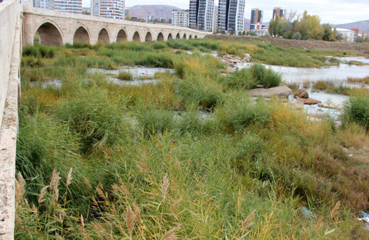 Türkiye'nin en uzun nehri Kızılırmak otlağa dönüştü