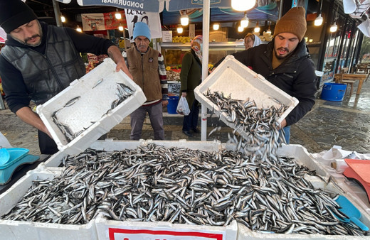 Hamsi ucuzladı vatandaş tezgahlara akın etti: İşte fiyatı...