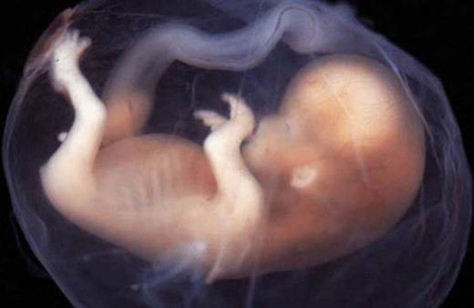 Koronavirüs anne karnındaki bebeği cinsiyetine göre etkiliyor! Erkek bebekler daha şanslı