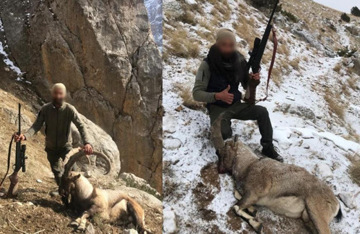 Erzincan'da sosyal medyada paylaştığı fotoğraf başını yaktı: 57 bin TL ceza yedi