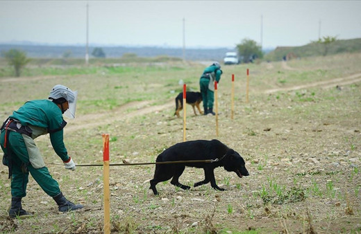 Azerbaycan Ermenistan'ın döşediği 48 binden fazla mayın ve patlamamış mühimmatı imha etti