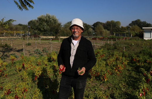 Bursa'da günlük 130 TL'ye çalışacak işçi bulamıyorlar: Fiyatlar bazen yüzümüzü güldürüyor bazen güldürmüyor