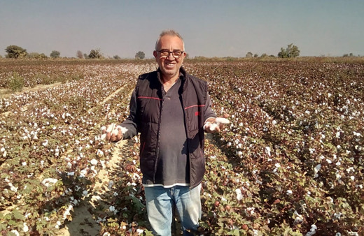 Denizli'de beyaz altın yüzleri güldürdü: Kilosu 10 TL'ye satılıyor
