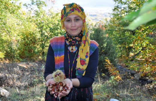 Alzheimer hastalığını önlüyor! Kütahya'da kilosu 40 TL'ye satılıyor