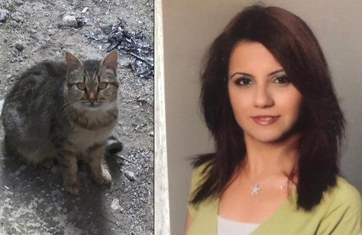 İstanbul'da kedi beslemek istemişti! Acı haber geldi: Bodrum katında...