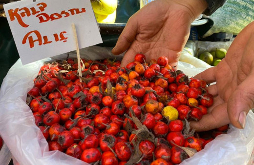 Bağışıklık sistemini güçlendiren kalp dostu Alıç meyvesi tezgahlarda yerini aldı