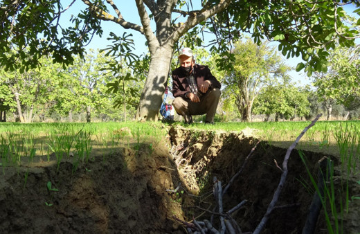 Aydın Germencik'te tuhaf doğa olayı! Araziler çatlıyor ilçe merkezine iniyor