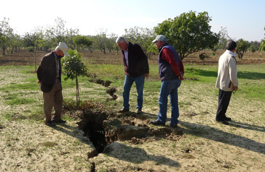 Aydın'da tarlaya gidince fark etti! Görenler şaştı kaldı: 2 metre...