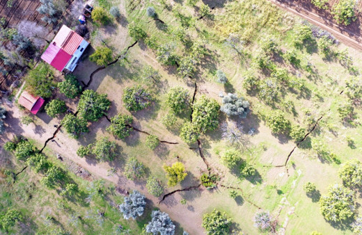 Aydın'da korkutan görüntü! 12 gün önce oluştu: Komisyon kuruldu