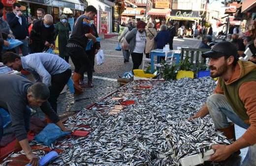 Hamsi Sinop'taki tezgahlarda yerini aldı