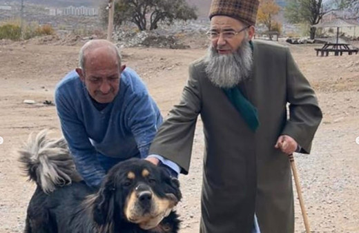 Cübbeli Ahmet Hoca 'Beni satsalar beş para etmem' deyip köpeklerle ilgili fetva verdi