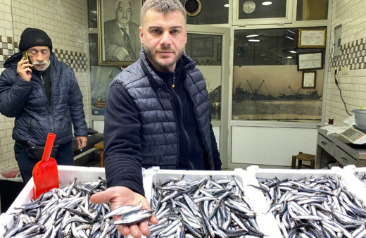 Zonguldak'ta balık fiyatları yeniden yükseldi! Tezgahlar cep yaktı: Normal değil