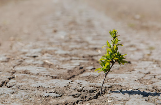 Birleşmiş Milletler tarih verdi raporda Türkiye ilgili bölüm ürkütücü