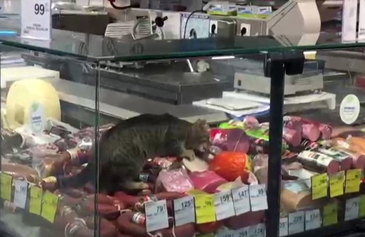 İstanbul'da market reyonunda görenleri şok eden görüntü! Büyük tepki çekti