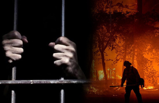 Orman yangınlarına karşı cezaevlerindeki hükümlüler müdahale edecek Bakan Gül açıkladı