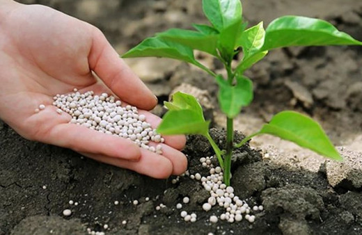 Çiftçiye kötü haber! Dolar fırladı gübre ve zirai ilaç satışları durduruldu