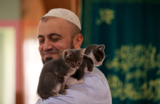 Hayvansever imam caminin kapılarını kedilere açtı