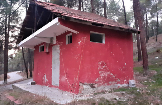 Tuvalete gitmek isteyenler şaştı kaldı: Çorum'da gören telefona sarıldı