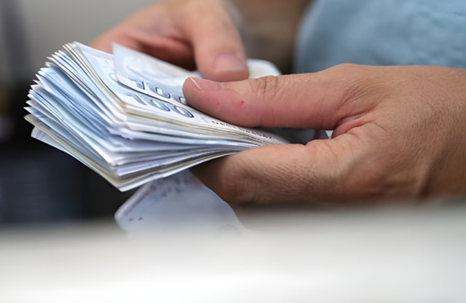 Bakan Bekir Pakdemirli çiftçiye destek ödemelerinin detaylarını paylaştı