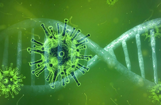 Hollanda'da 13 kişide Kovid-19'un Omicron varyantı görüldü