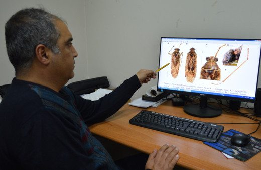 Mardin'de keşfedilen böceğe eski bakanın adı verildi