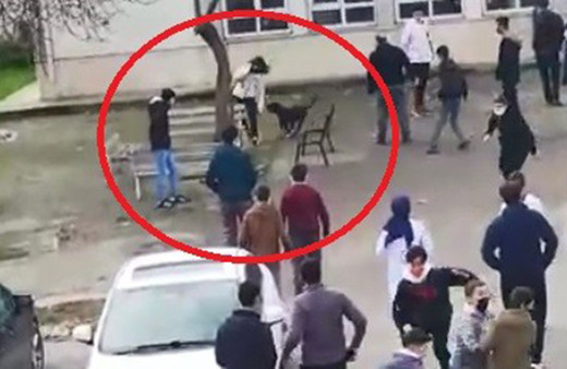 Kocaeli'nde okula dalan pitbull öğrencilere dehşeti yaşattı