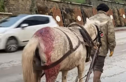 Edirne'deki vicdansızlığa büyük tepki!