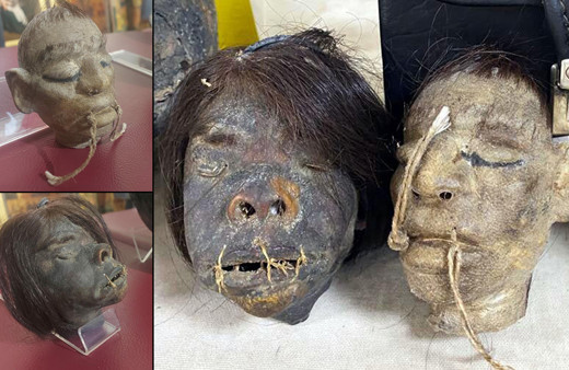 İzmir'de ele geçirildi! Kesik başlar kan dondurdu: İçini boşaltıp boyunlarına...