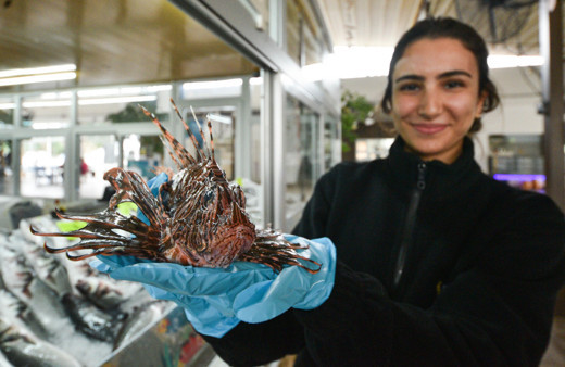 Zehirli ama yok satıyor! Kilosu 150 lirayı buluyor: Herkes onu soruyor