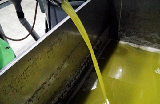 Hileli zeytinyağına dikkat! Uzmanı açıkladı: Hızlıca eriyorsa sahtedir