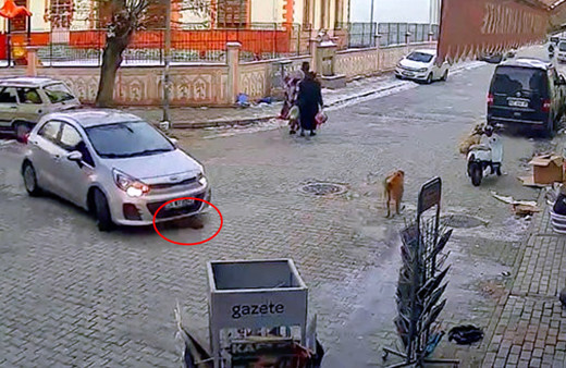 Isparta'da yavru köpeği ezdi hiçbir şey olmamış gibi gitti! O anlar saniye saniye görüntülendi