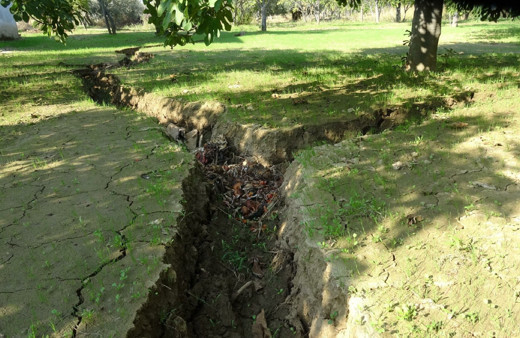 Aydın Germencik'te oluşan yarıkların kuraklıktan kaynaklandığı bildirildi