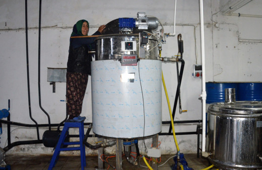 Tokat'ta tanesi 15 TL'den satılıyor genç kızlardan sipariş yağıyor