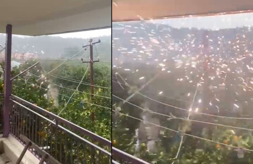 Kırmızı kod verilen Antalya'da elektrik telleri patladı! Korku dolu anlar kamerada